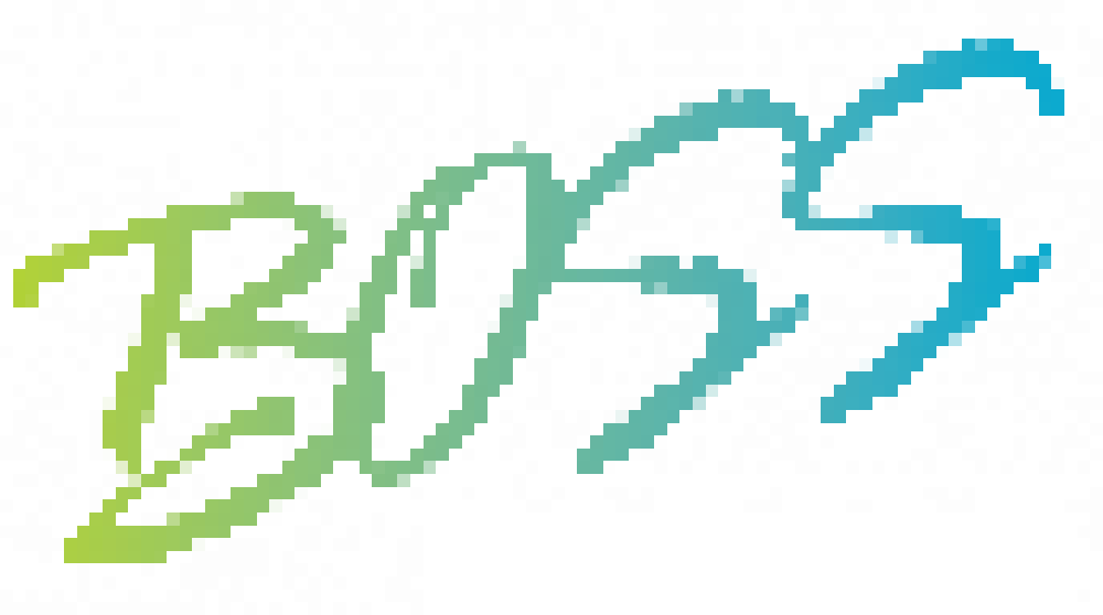 BOSS logo, 8-bit style